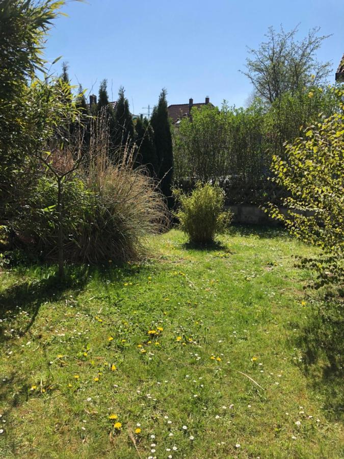 Sieben-Berge-Ferienwohnungen Alfeld  Exteriör bild